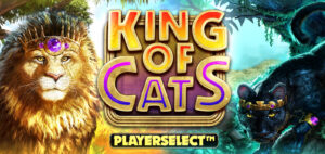 Read more about the article King Of Cats Megaways Slot Online free : Theme, Return To Player (RTP) Rate, Volatility